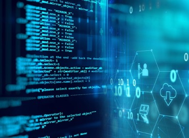 IT software development